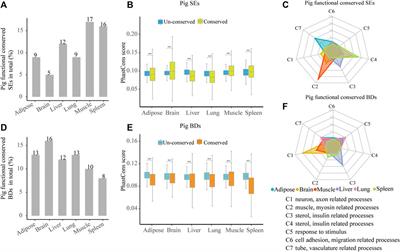 A Comparative Analysis of Super-Enhancers and Broad H3K4me3 Domains in Pig, Human, and Mouse Tissues